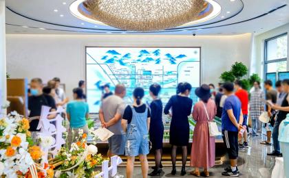梧桐山语