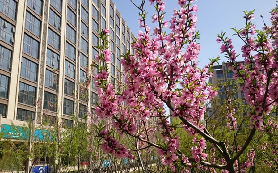 珠江四季悦城